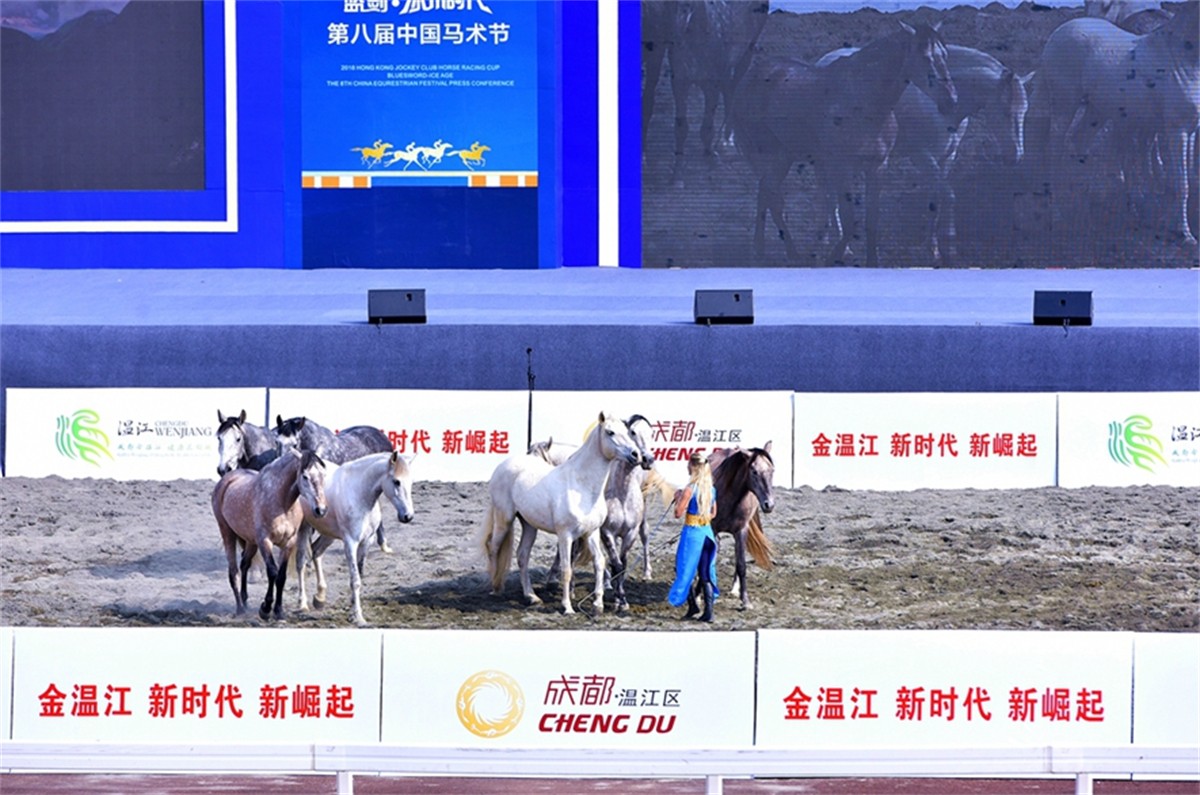 赛事运动策划公司_成都节庆运动策划公司_成都平博