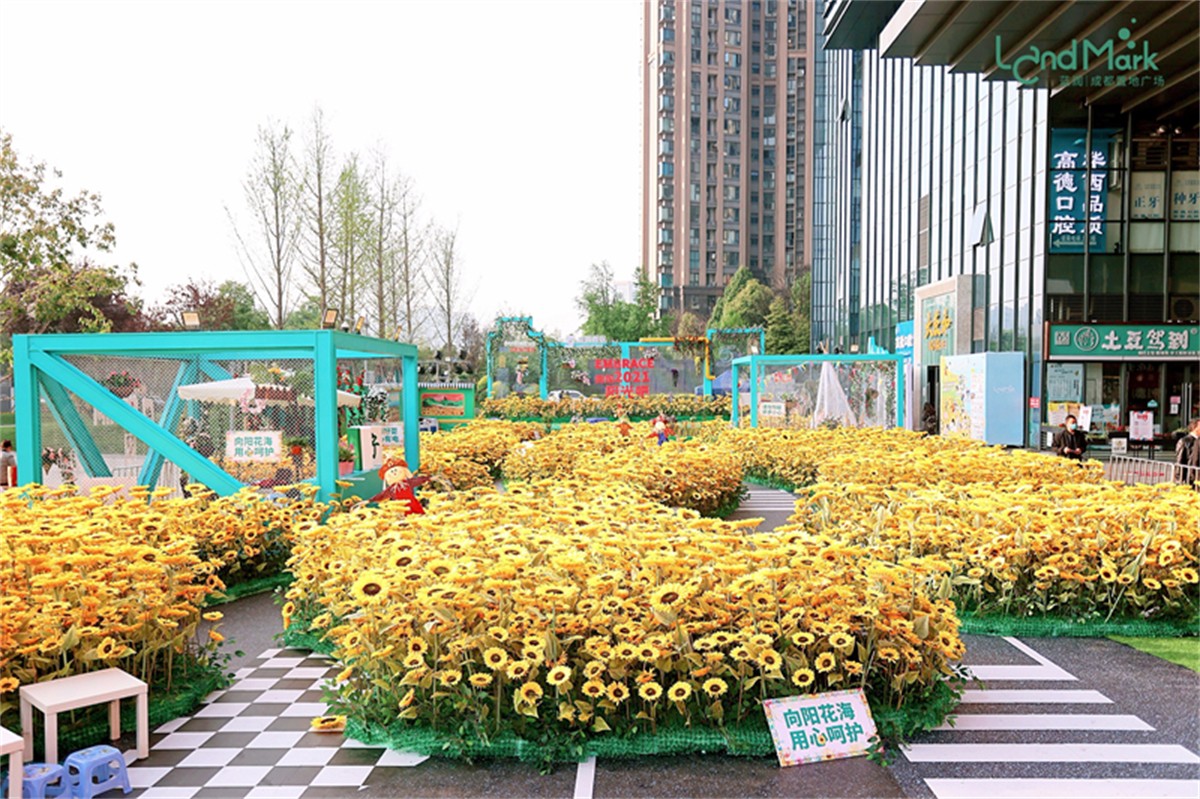 蓝润置地广场春日花田_成都会议策划哪家好_成都会议策划